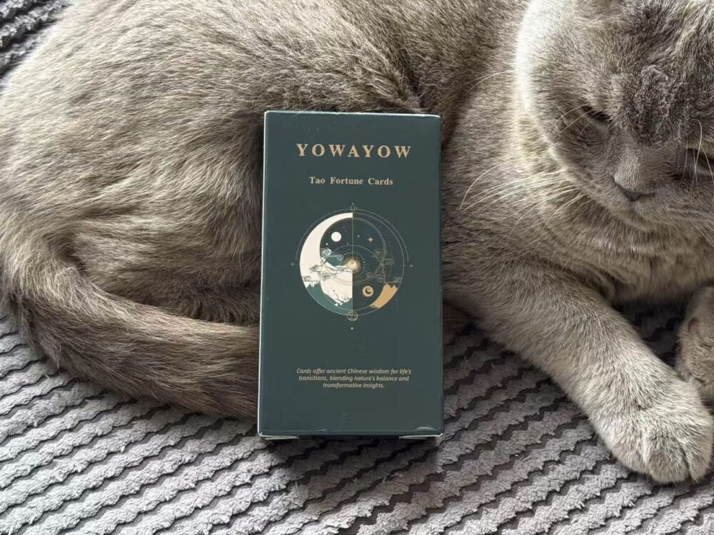 YOWAYOW Tao Fortune Cards – Ancient 64 Hexagram Oracle Cards, No Guide Needed, Perfect Gift