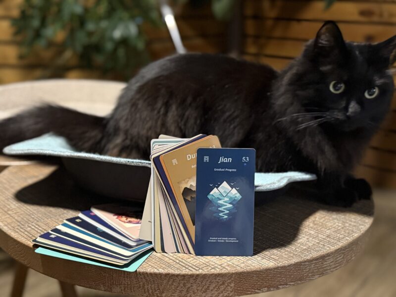 YOWAYOW I Ching Cards – SpiritLite Edition | I Ching Clarity Oracle Deck - Image 5